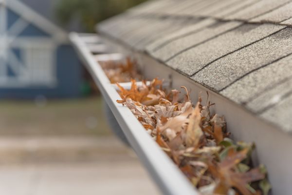 Leaf Barrier Installation in Arvada